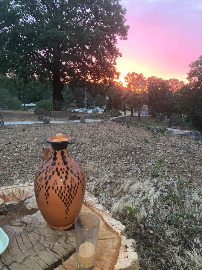Maison D'Hotes "Abou-Hachem" Melaah Dış mekan fotoğraf