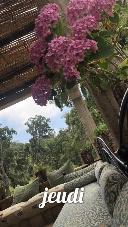Maison D'Hotes "Abou-Hachem" Melaah Dış mekan fotoğraf